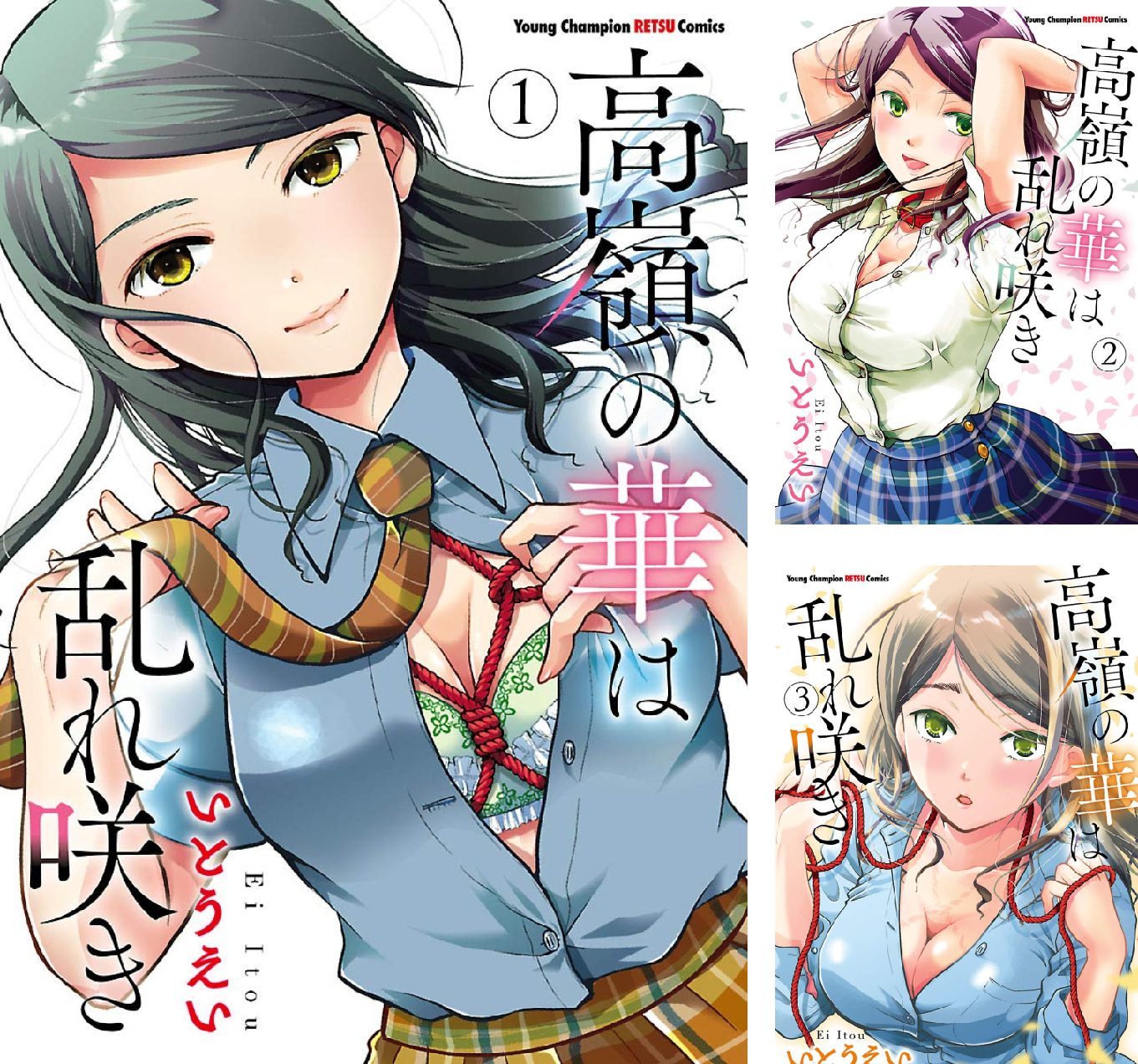 高嶺の華は乱れ咲き (全14巻) Kindle版